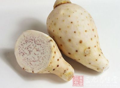 魔芋，大家一定都很熟悉，它低熱量，低蛋白質，高纖維