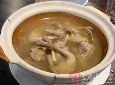 乳鴿湯的做法