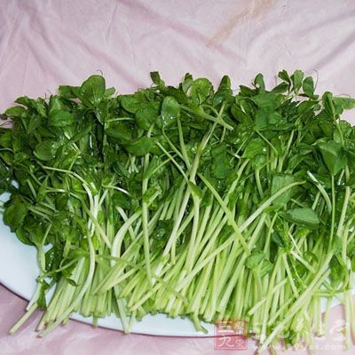 將豌豆苗擇去老莖,洗淨 將豌豆苗擇去老莖,洗淨