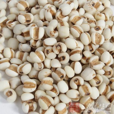 薏苡仁是極佳的美容食材 薏苡仁是極佳的美容食材