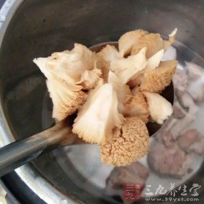 把泡好的猴頭菇用剪刀剪小塊