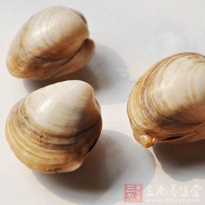 蛤蜊的營養價值 蛤蜊的營養價值