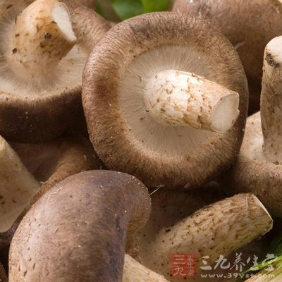 香菇，又稱冬菇，傘形科真菌類，綠色保健蔬菜