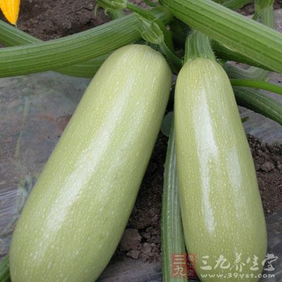 食材：西葫蘆洗淨去皮切片