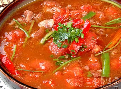 牛肉炖柿子