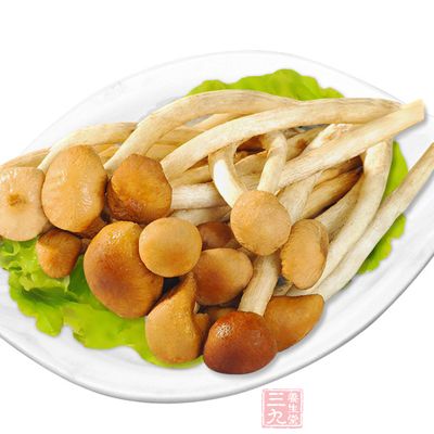 茶樹菇有防癌抗癌的作用