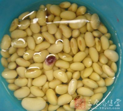 黃豆提前浸泡半天
