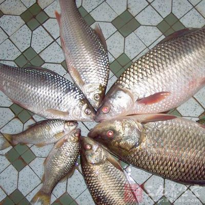 鲮魚富含豐富的蛋白質、維生素A、鈣 鲮魚富含豐富的蛋白質、維生素A、鈣
