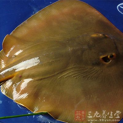 鳐魚和魟魚非常相象，因為它們都有扁平的身體
