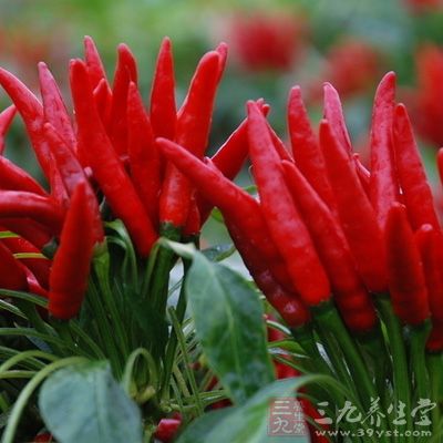 辣椒與花椒的比例為2:1 辣椒與花椒的比例為2:1