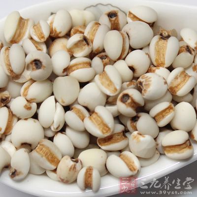 薏米也叫薏仁，是藥材也是食物