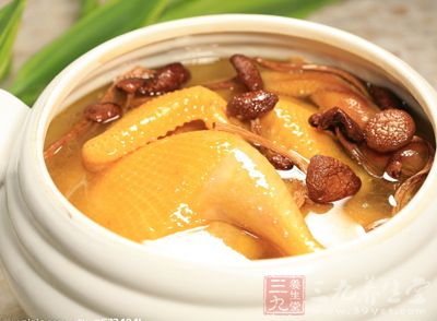 雞湯怎麼煲