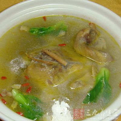 雞湯白菜怎麼做