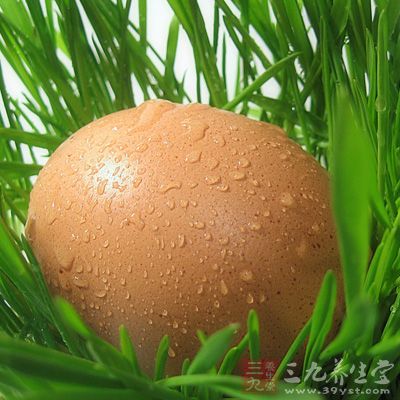洗淨的新鮮雞蛋