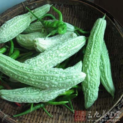 苦瓜的營養