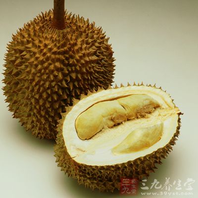 榴蓮中含有非常豐富的膳食纖維