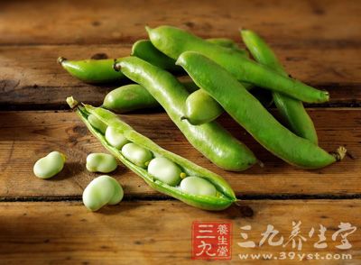 蠶豆中的蛋白質含量豐富,且不含膽固醇 蠶豆中的蛋白質含量豐富,且不含膽固醇