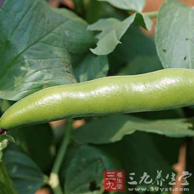 幫助消化、消除腹脹 幫助消化、消除腹脹