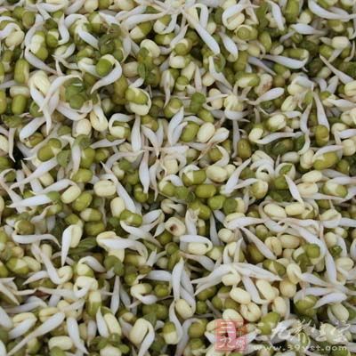 綠豆芽產熱少