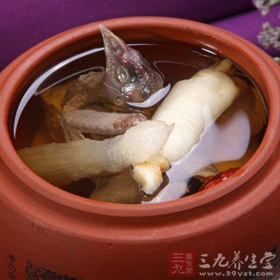 高麗參炖鹌鹑滋陰補血