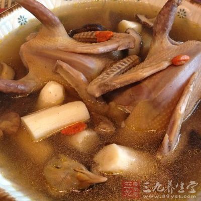 九乳鴿湯的制作方法