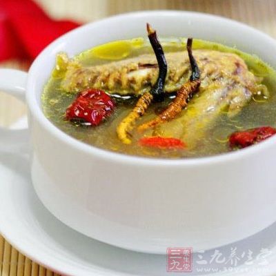 鴿肉湯的制作方法