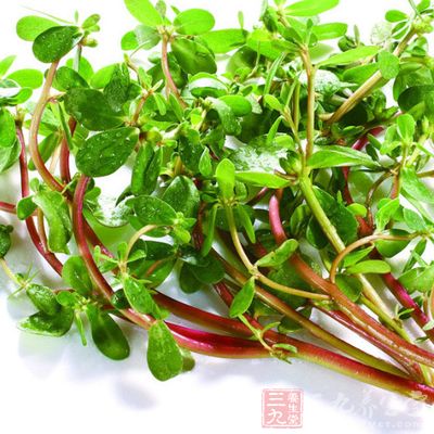 具有清熱祛濕、散血消腫等功效