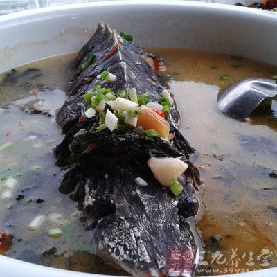 鲟魚做湯，味道真的很鮮美