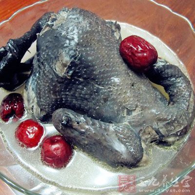 清炖烏雞湯