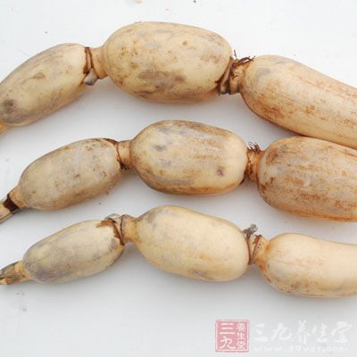 蓮藕性溫涼