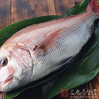 可選擇鮮魚
