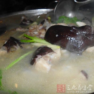 雞炖熊掌的做法 雞炖熊掌的做法