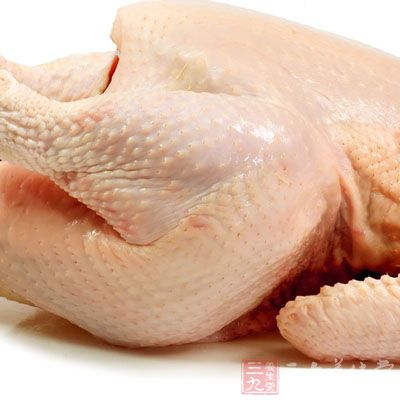 雞肉性溫味甘