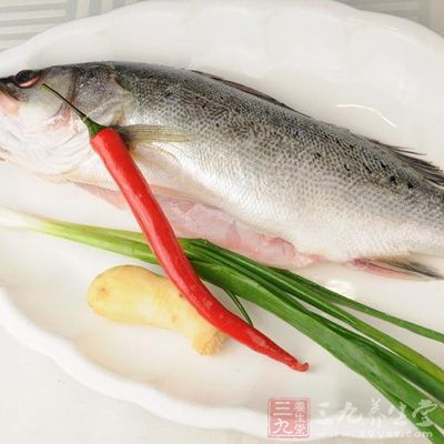 女人補腎吃什麼好—鲈魚