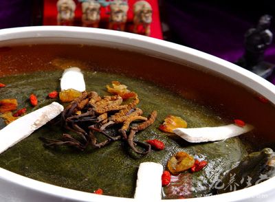 甲魚還能夠抑制腫瘤細胞的生長、提高人體的免疫功能呢 甲魚還能夠抑制腫瘤細胞的生長、提高人體的免疫功能呢