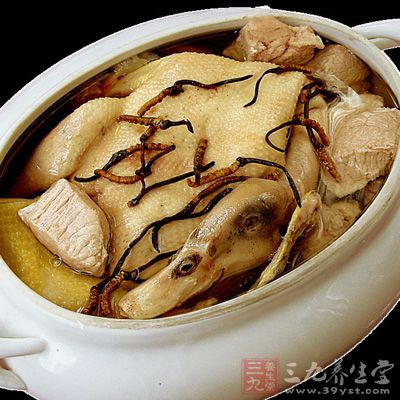將蟲草粗的一端(頭部)一個個的插和鴨腹小孔上,尾部留在外面 將蟲草粗的一端(頭部)一個個的插和鴨腹小孔上,尾部留在外面
