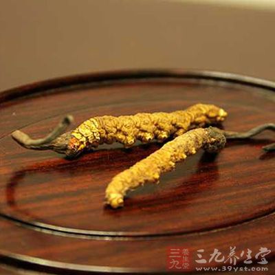調節呼吸系統功能 冬蟲夏草具有擴張支氣管、平喘、祛痰、防止肺氣腫的作用 調節呼吸系統功能 冬蟲夏草具有擴張支氣管、平喘、祛痰、防止肺氣腫的作用