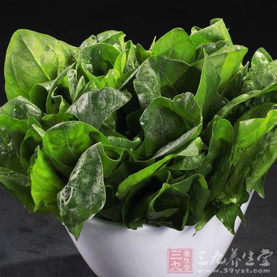菠菜是很常見的蔬菜