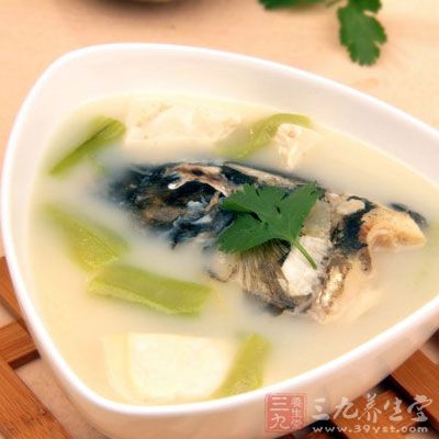 絲瓜豆腐魚頭湯清熱瀉火,養陰生津 絲瓜豆腐魚頭湯清熱瀉火,養陰生津