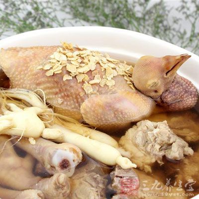 消暑老鴿湯為夏令消暑養生靓湯,男女老少皆宜 消暑老鴿湯為夏令消暑養生靓湯,男女老少皆宜