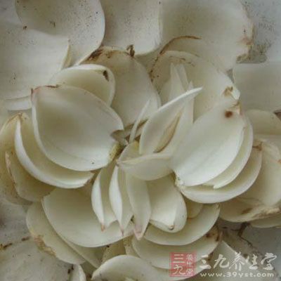 百合湯有清涼祛熱和消暑安神之功效 百合湯有清涼祛熱和消暑安神之功效