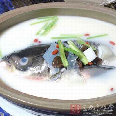 冬瓜鲩魚湯用於減肥、潤膚健膚 冬瓜鲩魚湯用於減肥、潤膚健膚