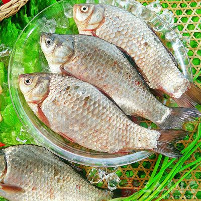 洗淨宰好的白鲫,刮去腹內黑膜 洗淨宰好的白鲫,刮去腹內黑膜