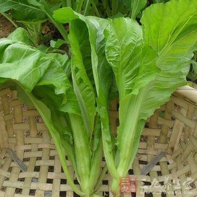 芥菜性味辛、溫,功能散寒解表 芥菜性味辛、溫,功能散寒解表