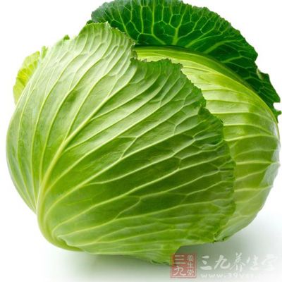 夏天吃什麼可以減肥 卷心菜