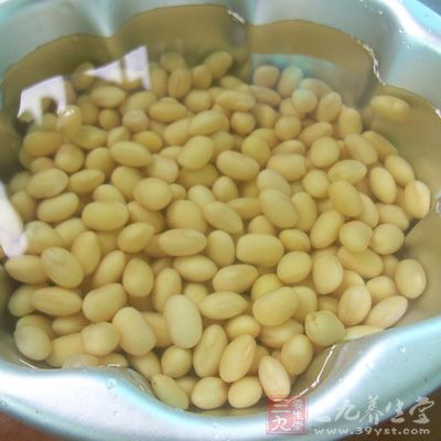 將黃豆浸泡6-16小時