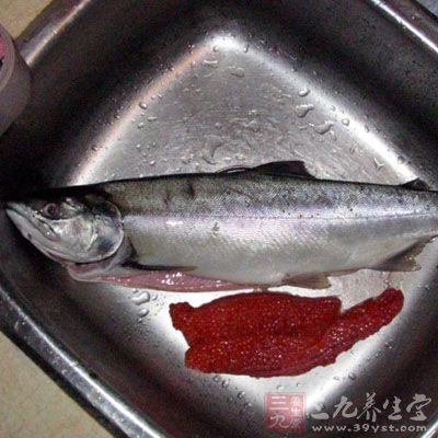 鲑魚(即三文魚)