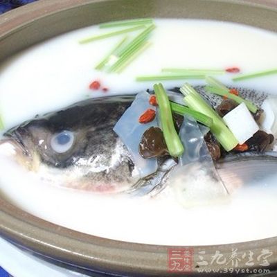 豆腐鹹魚頭湯