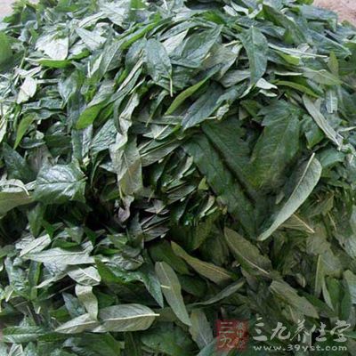 鮮芝麻葉方