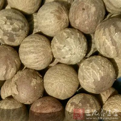 橄榄(又名青白果)20克